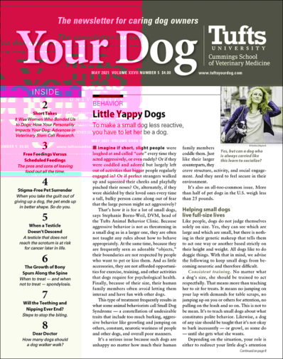 Your Dog | 5/1/2021 Cover