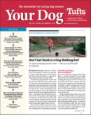 Your Dog May 01, 2023 Issue Cover