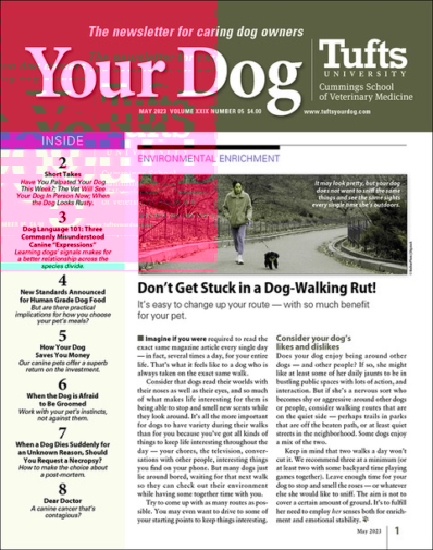 Your Dog May 01, 2023 Issue Cover