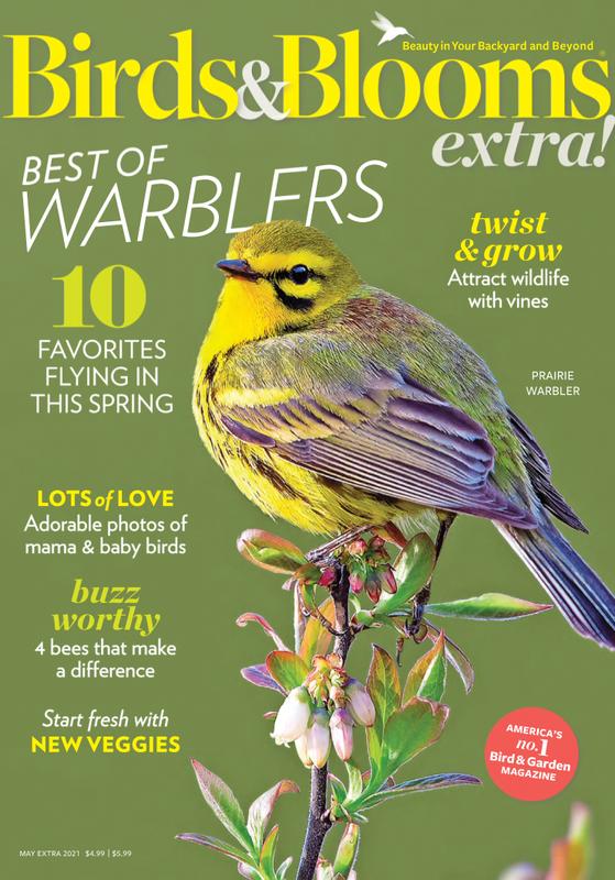 Birds And Blooms Extra Subscription | Magazine-Agent.com