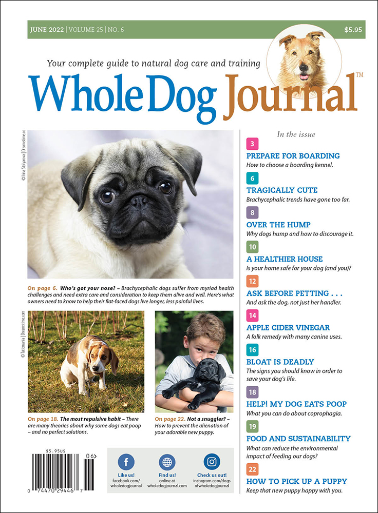 Whole Dog Journal Gift Subscription