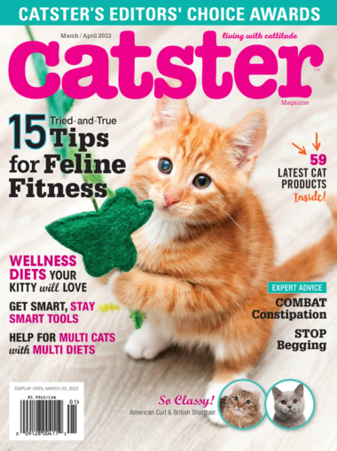 Catster March 01, 2022 Issue Cover