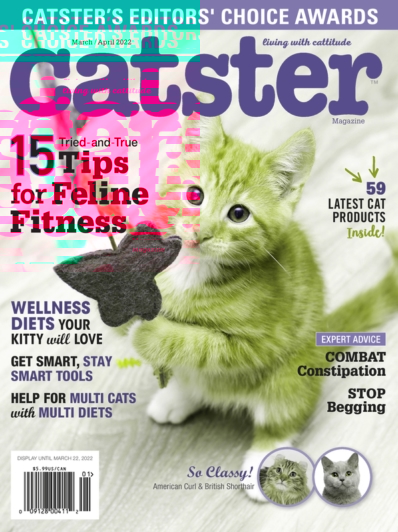 Catster March 01, 2022 Issue Cover