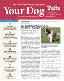 Your Dog October 01, 2021 Issue Cover