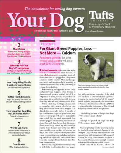 Your Dog October 01, 2021 Issue Cover