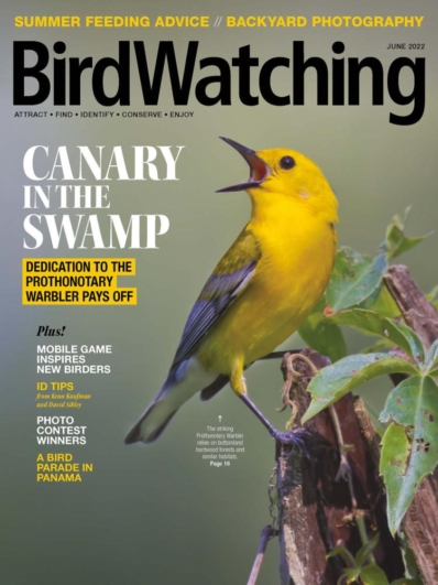 Bird Watching June 01, 2022 Issue Cover