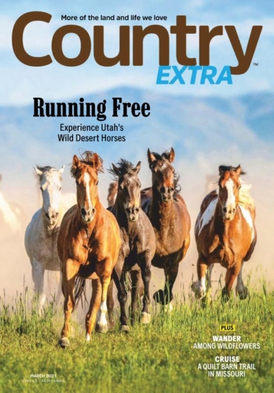 Country Extra | 3/1/2021 Cover