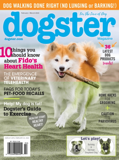 Dogster February 01, 2022 Issue Cover