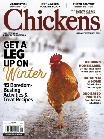 Chickens January 01, 2022 Issue Cover