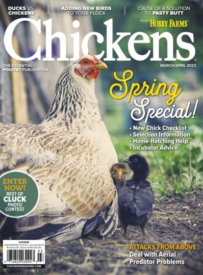 Chickens March 01, 2023 Issue Cover