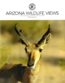 Arizona Wildlife Views May 01, 2023 Issue Cover
