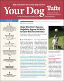 Your Dog December 01, 2022 Issue Cover