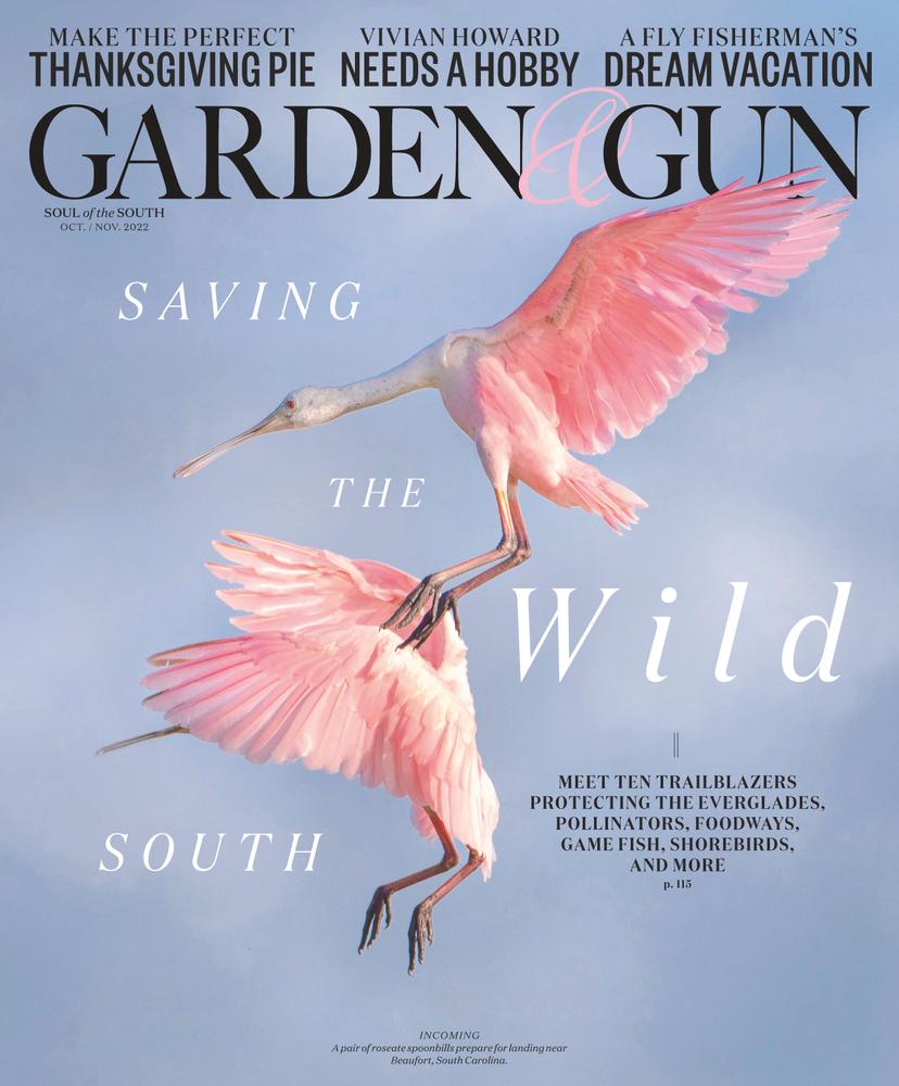 garden & gun back issues