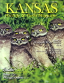 Kansas Wildlife & Parks July 01, 2022 Issue Cover