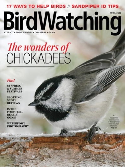Bird Watching April 01, 2022 Issue Cover