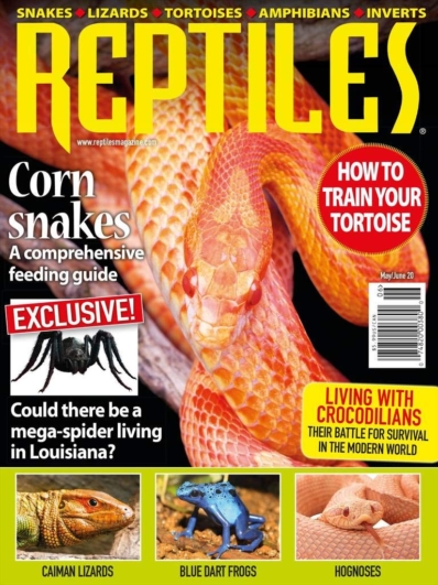 Reptiles | 5/1/2020 Cover