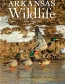 Arkansas Wildlife January 01, 2023 Issue Cover