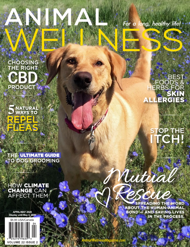 Animal Wellness Magazine Magazine Agent com