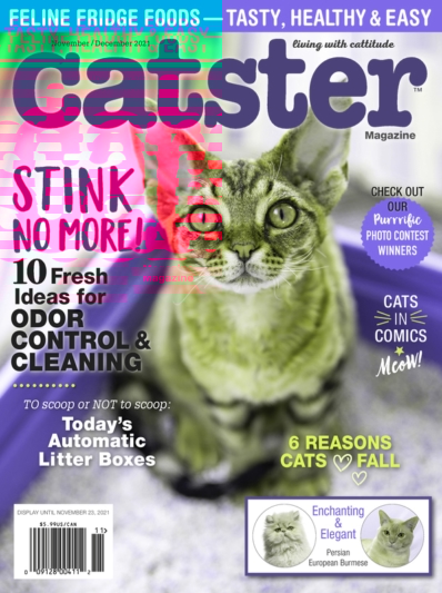 Catster November 01, 2021 Issue Cover