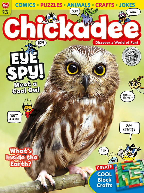 Chickadee magazine magazine agent