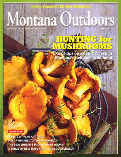 Montana Outdoors May 01, 2021 Issue Cover