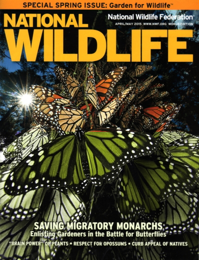 National Wildlife | 4/1/2015 Cover