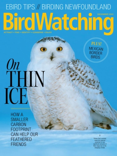 Bird Watching December 01, 2022 Issue Cover