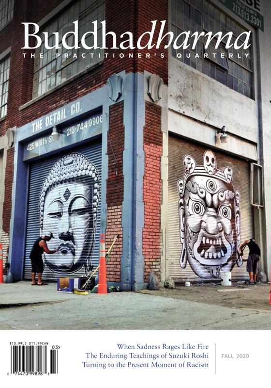 BUDDHADHARMA Magazine | Magazine-Agent.com