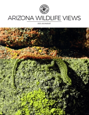 Best Price for Arizona Wildlife Views Magazine Subscription