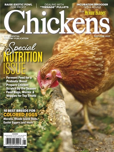 Chickens May 01, 2023 Issue Cover