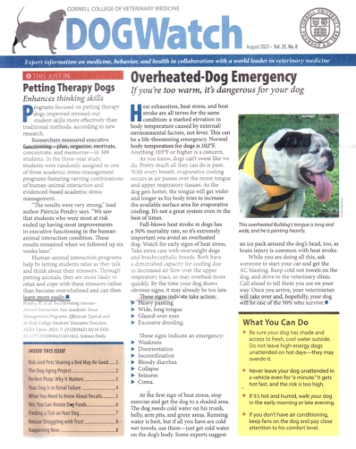 Dogwatch August 01, 2021 Issue Cover