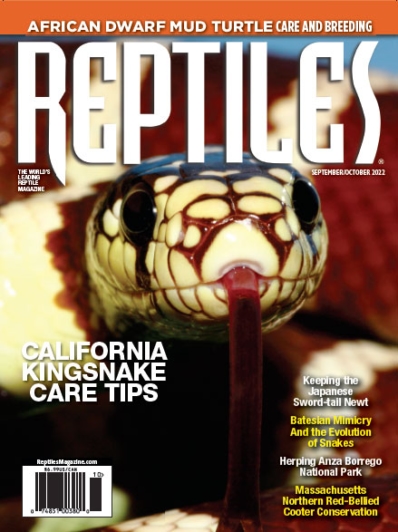 Reptiles September 01, 2022 Issue Cover
