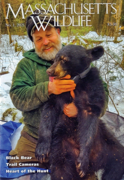Massachusetts Wildlife January 01, 2021 Issue Cover