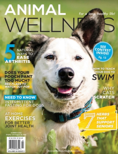 Animal Wellness June 01, 2022 Issue Cover