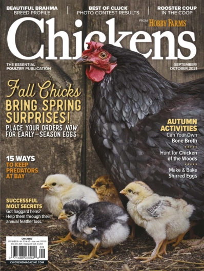 Chickens September 01, 2021 Issue Cover
