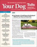 Your Dog May 01, 2022 Issue Cover