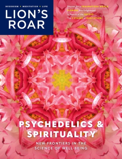 Lion's Roar December 01, 2022 Issue Cover