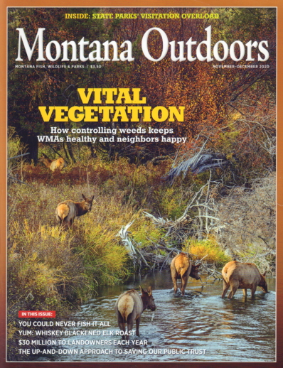 Montana Outdoors | 11/1/2020 Cover