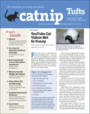 Catnip November 01, 2021 Issue Cover