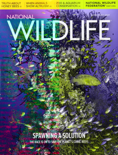 National Wildlife June 01, 2021 Issue Cover