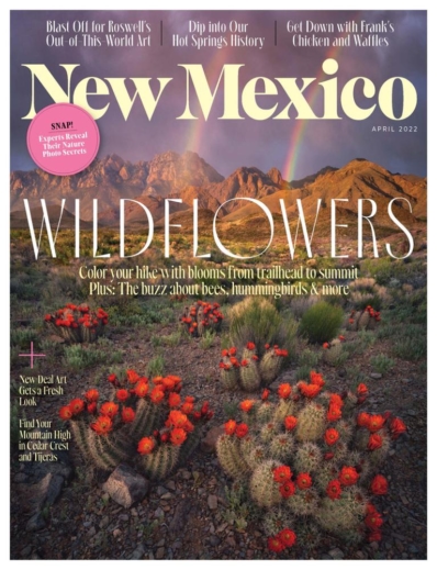 New Mexico April 01, 2022 Issue Cover