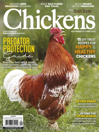 Chickens September 01, 2022 Issue Cover