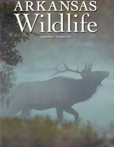 Arkansas Wildlife September 01, 2021 Issue Cover