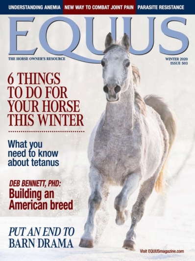 Equus | 12/1/2020 Cover