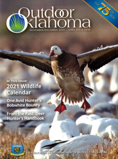 Outdoor Oklahoma | 11/1/2020 Cover