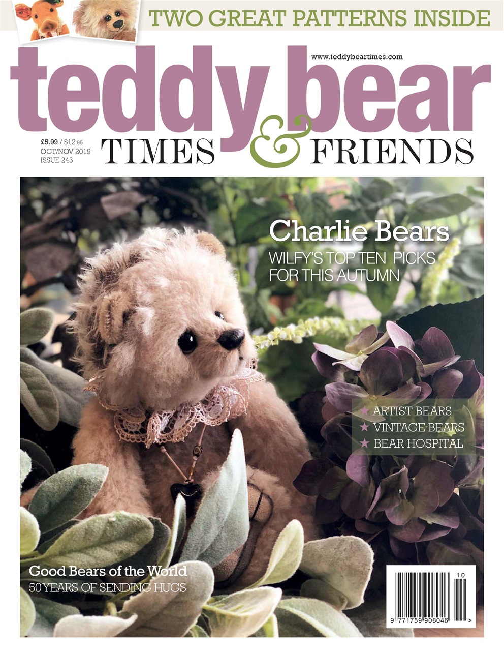 teddy bear times