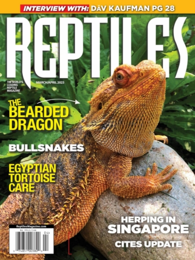 Reptiles March 01, 2023 Issue Cover