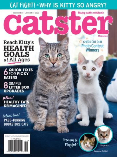 Catster November 01, 2022 Issue Cover