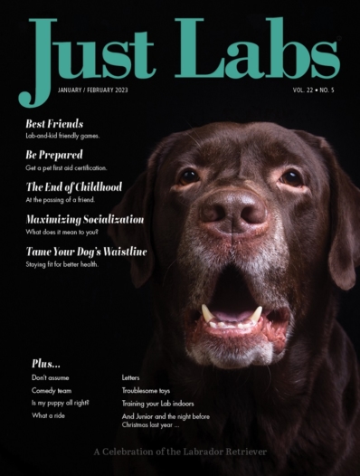 Just Labs January 01, 2023 Issue Cover