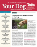 Your Dog January 01, 2023 Issue Cover
